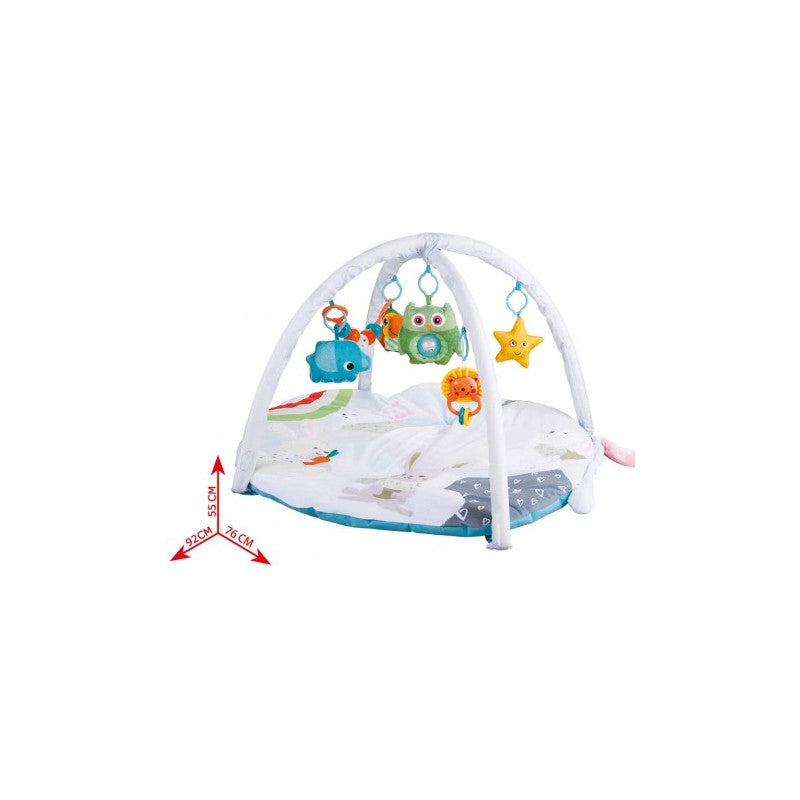 2-in-1 Activity Gym