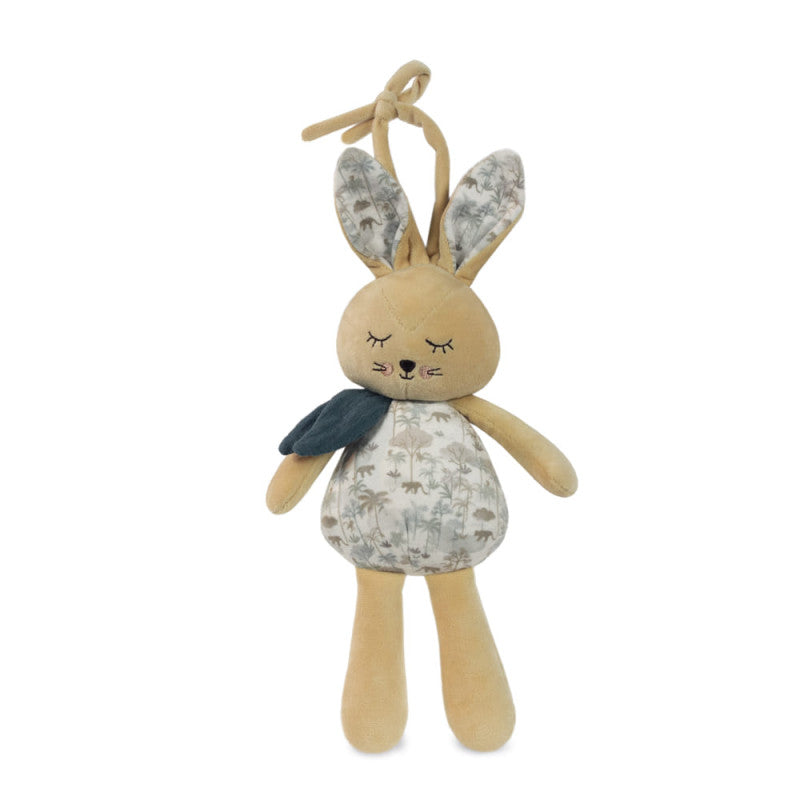 Pasito a Pasito Musical Bunny - Serenguenti