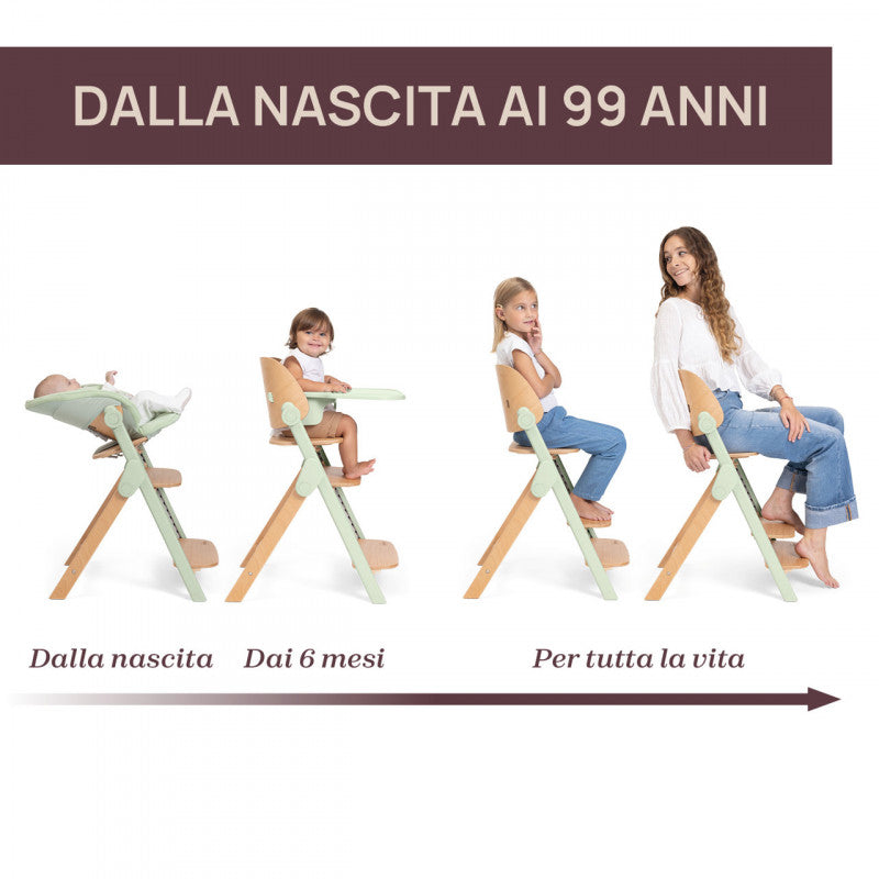 Chicco Meraviglia Ebony High Chair