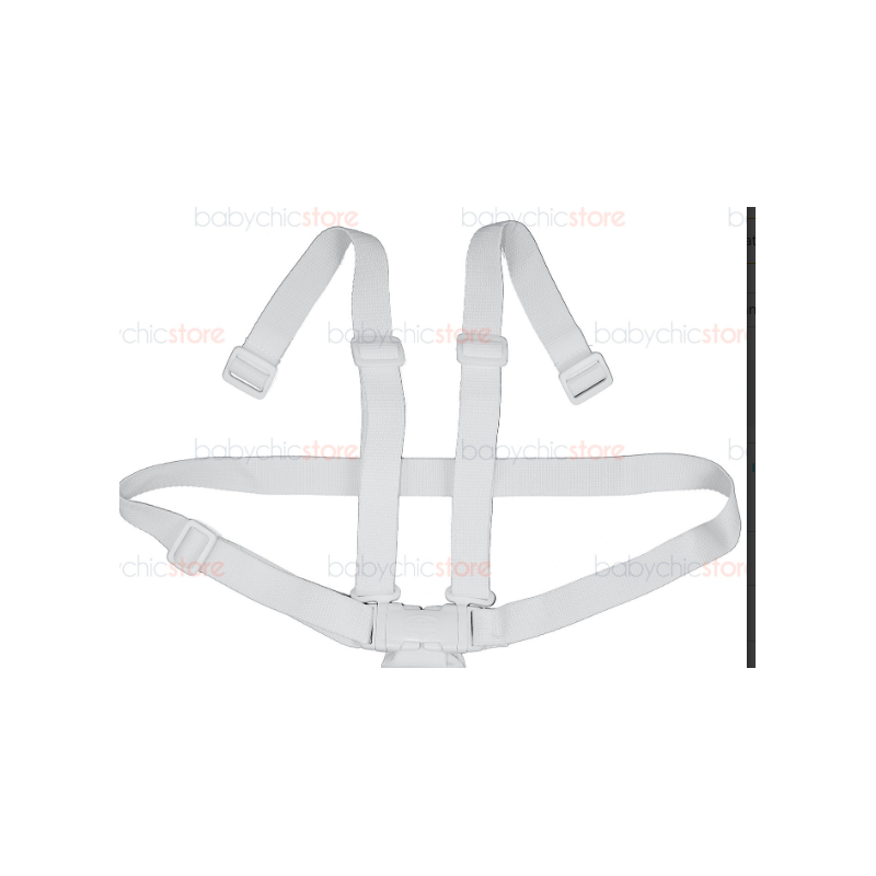 Chicco Polly Swing Seatbelts