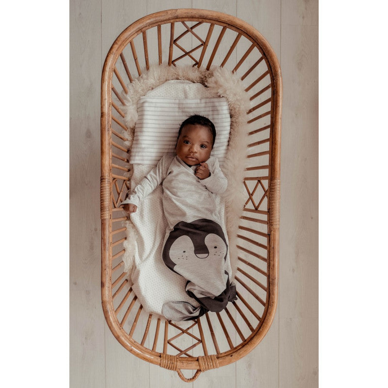 Penguin Sleeping Bag - 0-3 Months