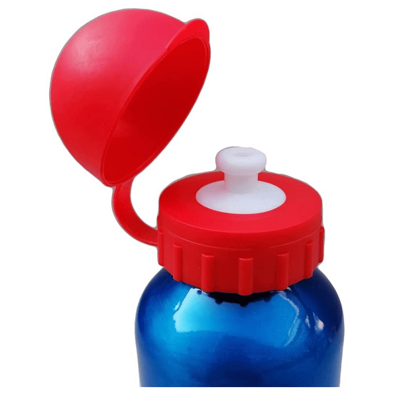 copy of Alufeldflasche Disney